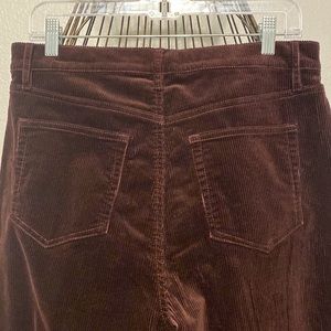 NWOT Loft Corduroy Chocolate Brown Pants Stretch SZ 8 /29